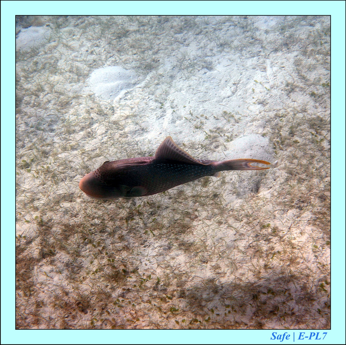 2016 - 07 - Leng Tengah - 077